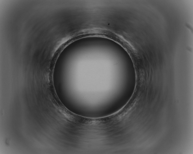 X0000091881166200709051318
