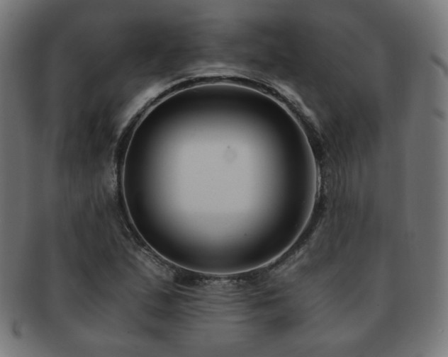 X0000091881167200709051318