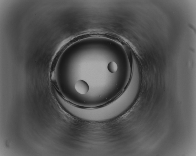 X0000091881168200709051318