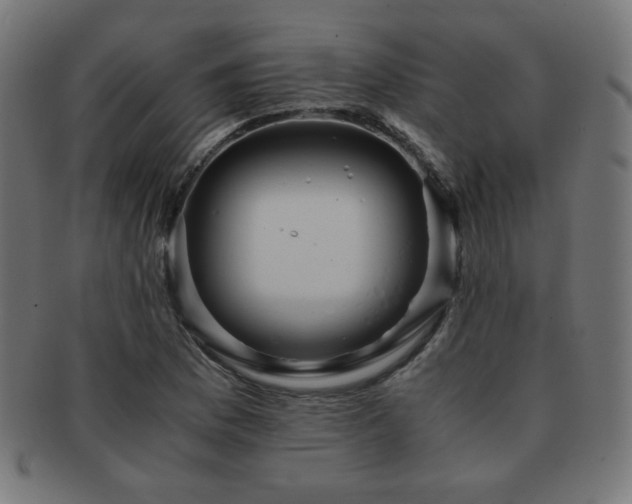 X0000091881169200709051318