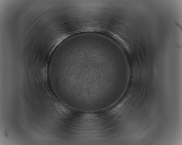 X0000091881170200709051318