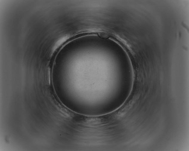 X0000091881171200709051318