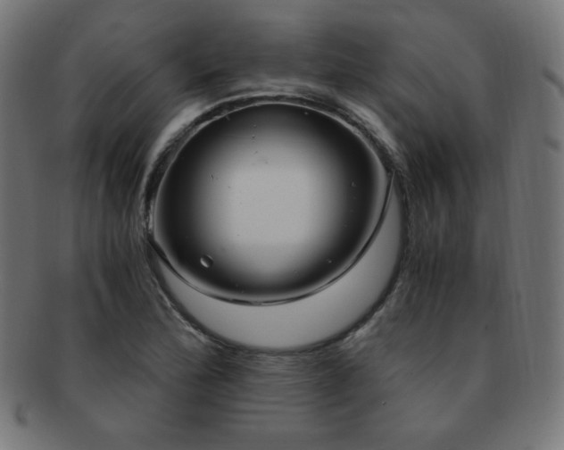 X0000091881172200709051318