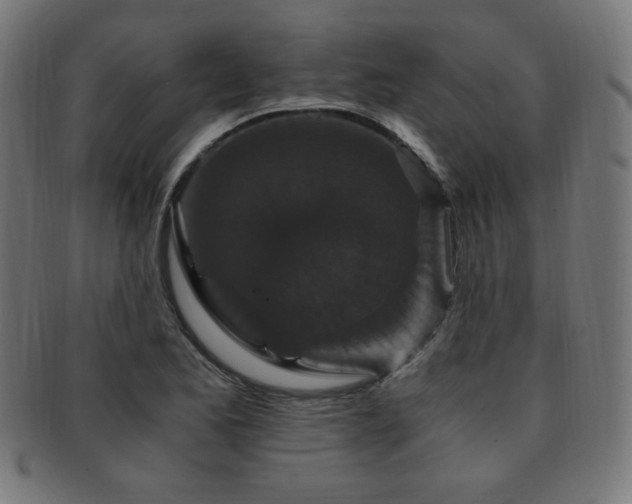 X0000091881173200709051318