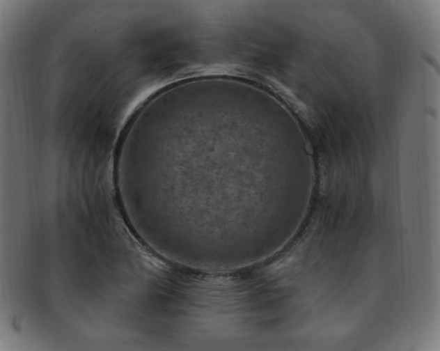 X0000091881174200709051318