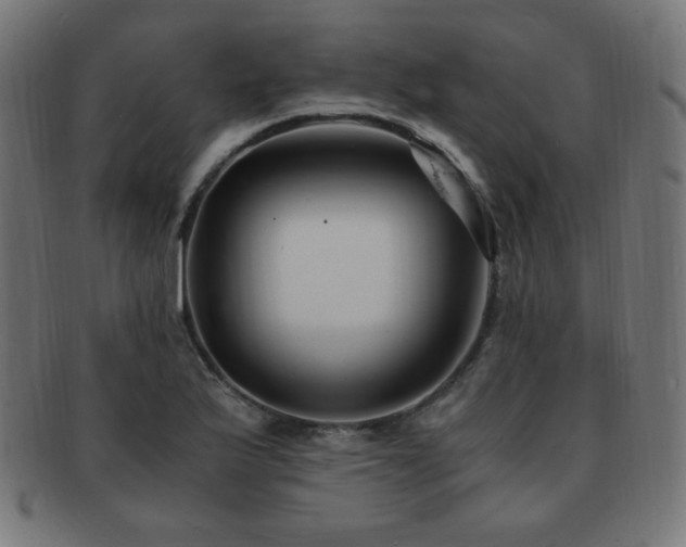X0000091881175200709051318