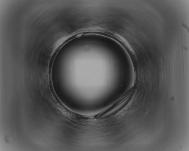 X0000091881176200709051318