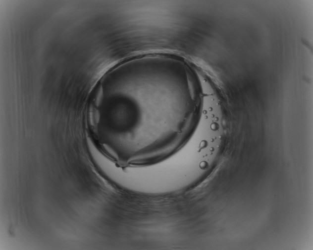 X0000091881177200709051318