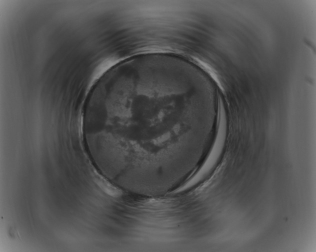 X0000091881179200709051318