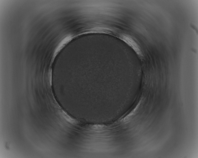 X0000091881180200709051318