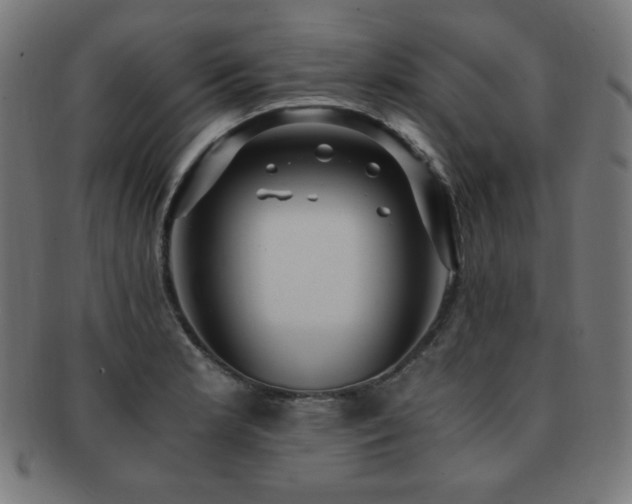 X0000091881181200709051318