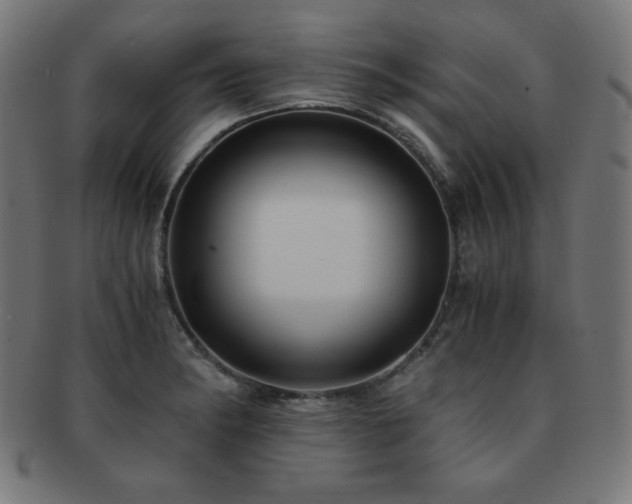 X0000091881182200709051318