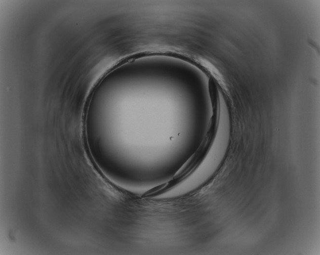 X0000091881183200709051318