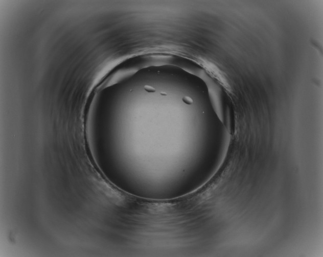 X0000091881184200709051318