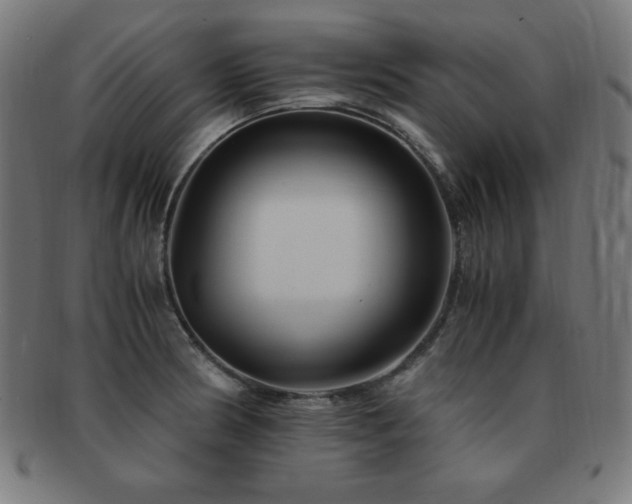 X0000091881186200709051318