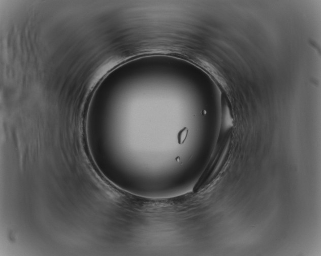 X0000091881187200709051318