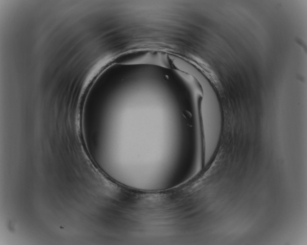 X0000091881188200709051318