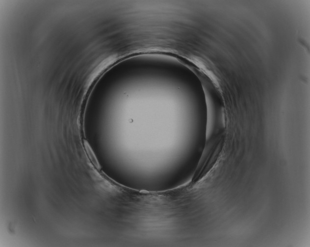 X0000091881189200709051318