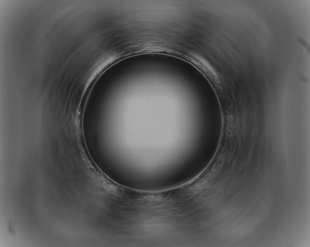 X0000091881190200709051318