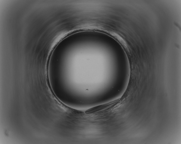 X0000091881191200709051318