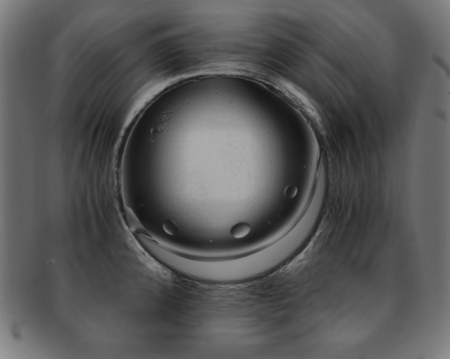 X0000091881192200709051318