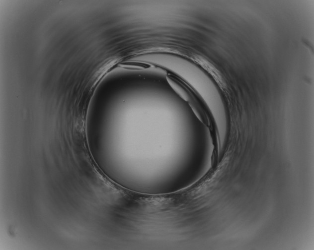 X0000091881193200709051318