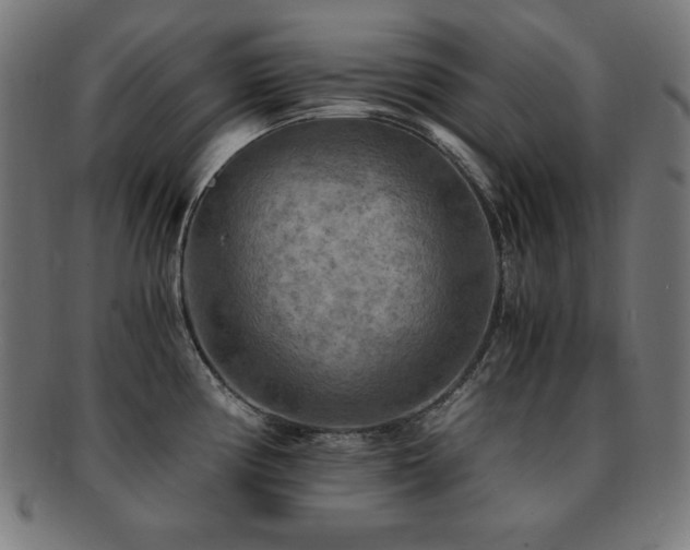 X0000091881194200709051318