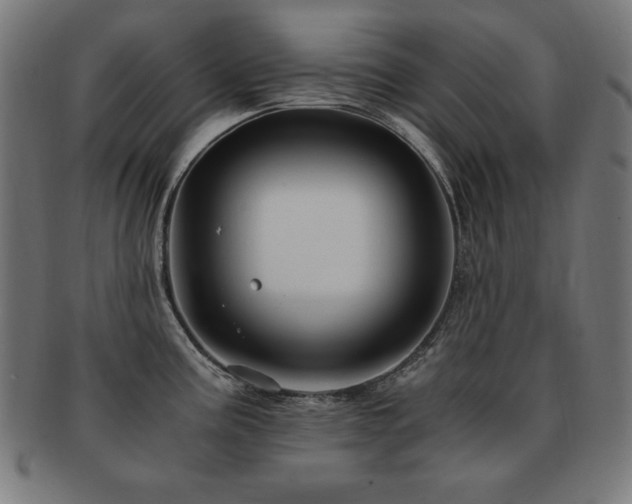 X0000091881195200709051318