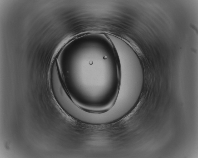 X0000091881196200709051318