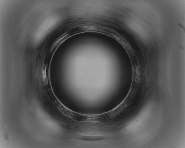 X0000091881198200709051318