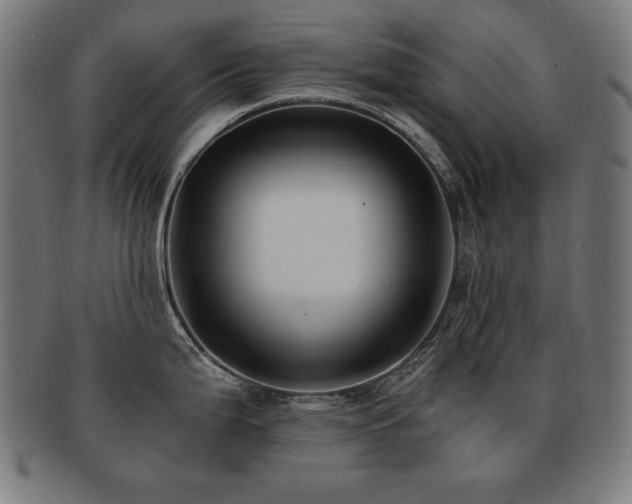 X0000091881199200709051318