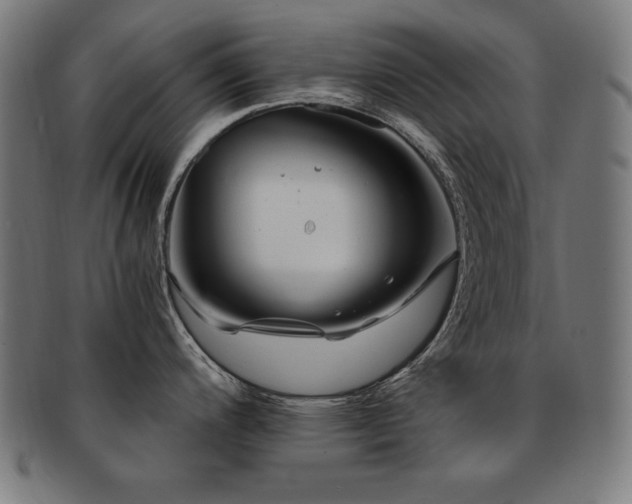 X0000091881200200709051318