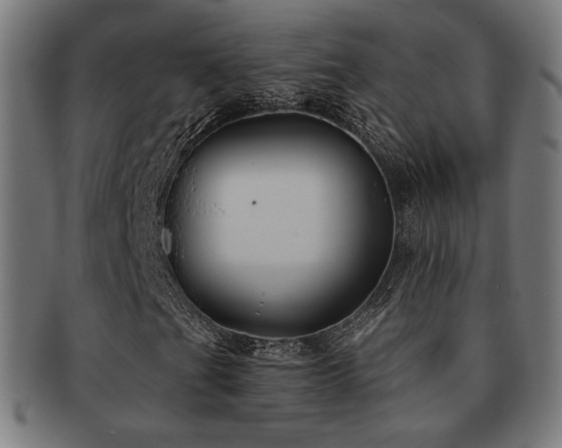 X0000091881201200709051317
