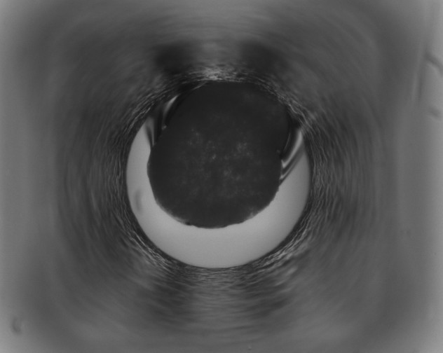 X0000091881202200709051317