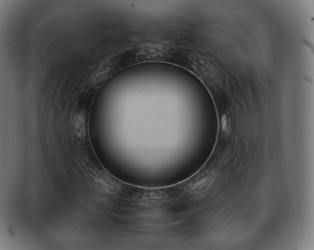 X0000091881203200709051317