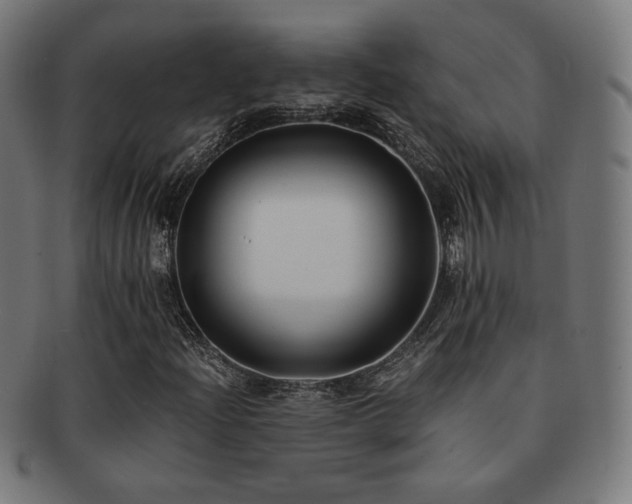 X0000091881204200709051317