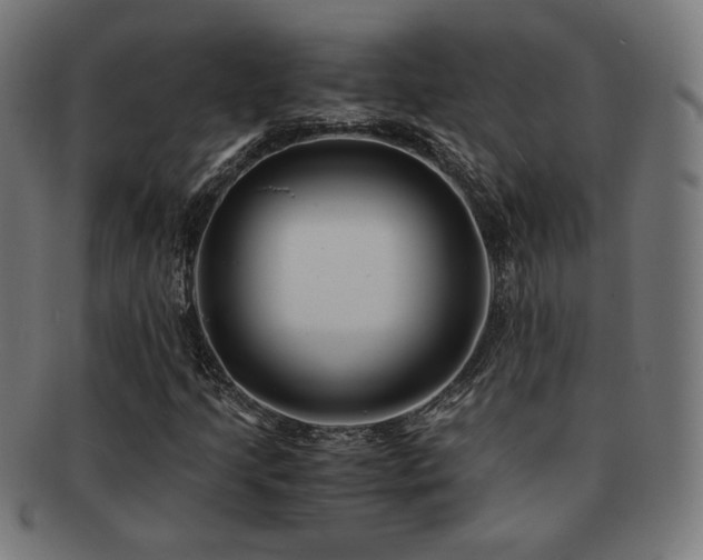 X0000091881205200709051317