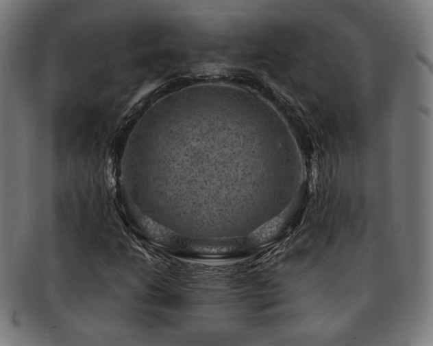 X0000091881206200709051317