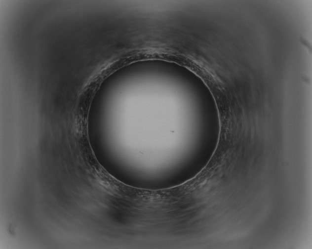 X0000091881207200709051317
