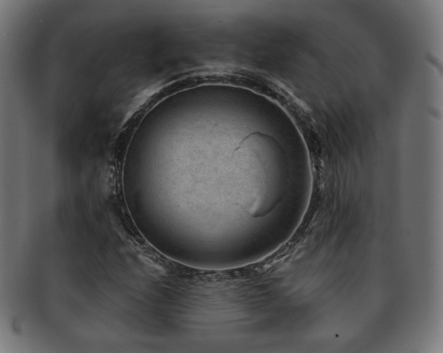 X0000091881208200709051317