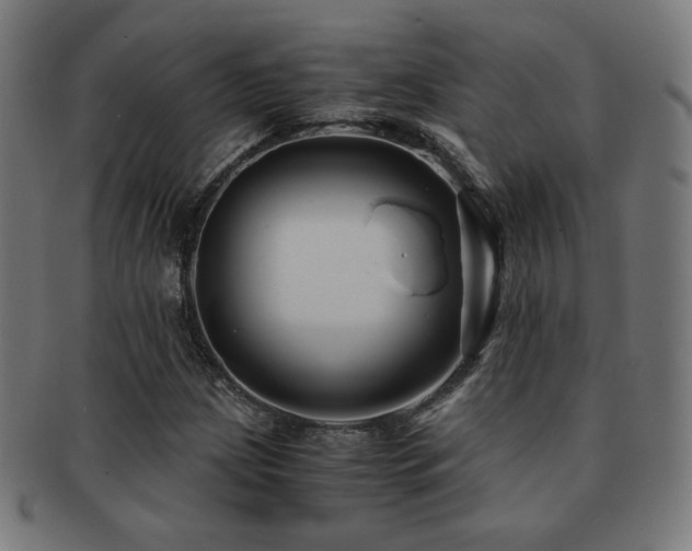 X0000091881209200709051317