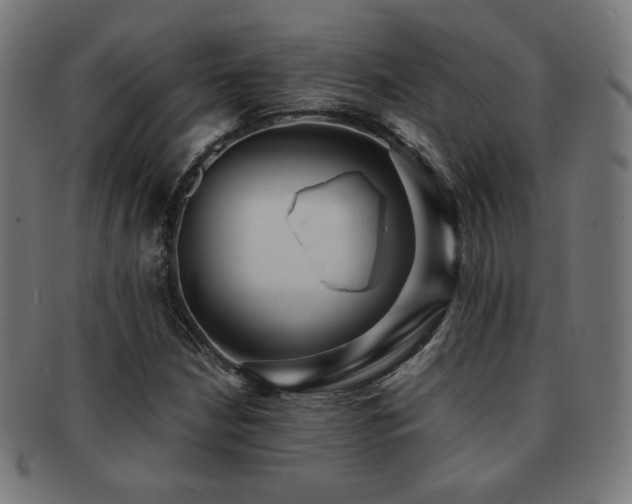 X0000091881210200709051317
