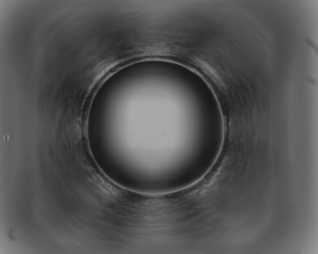X0000091881212200709051317