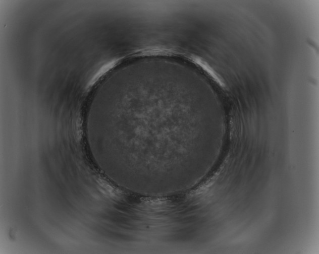 X0000091881213200709051317