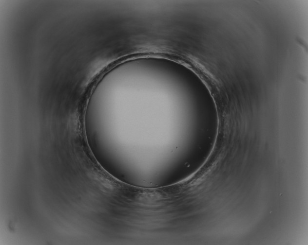 X0000091881215200709051317