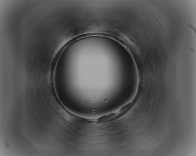 X0000091881216200709051317