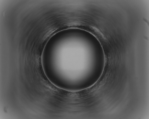 X0000091881217200709051317
