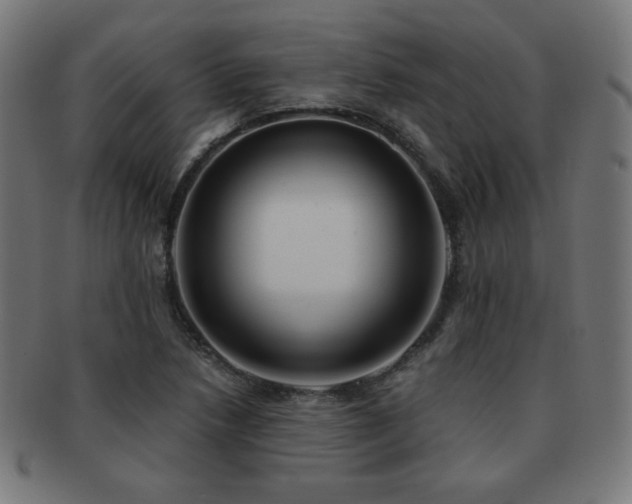 X0000091881218200709051317
