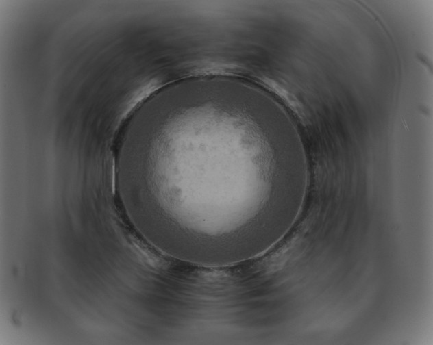 X0000091881219200709051317