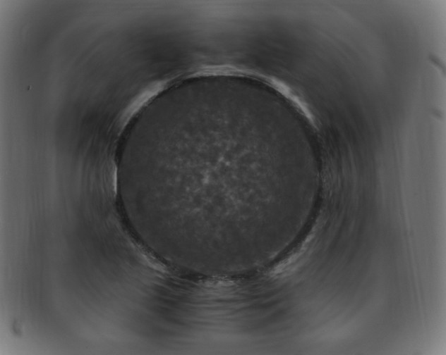 X0000091881221200709051317